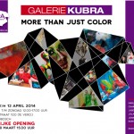 6 maart t/m 13 april 2014 KuBra presenteert:’More Than Just Color’